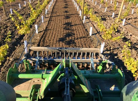 cultivation vineyard blenheim