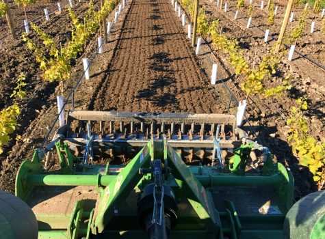 Cultivation Vineyard Blenheim