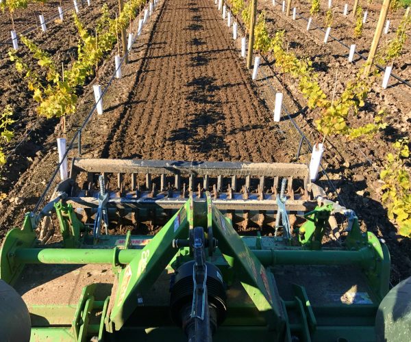 cultivation vineyard blenheim