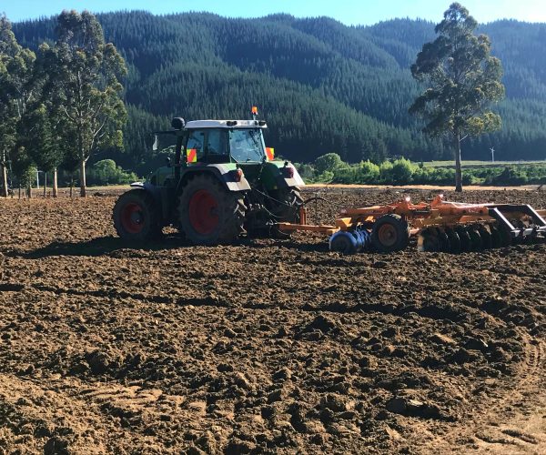 vineyard cultivation marlborough