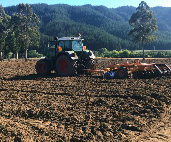 Vineyard Cultivation Marlborough